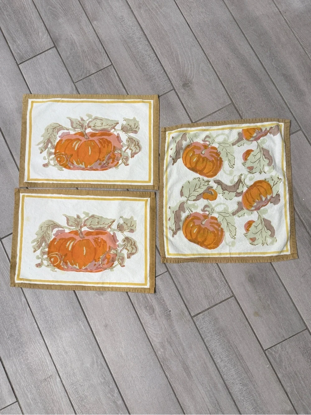 Couleur Nature by Bruno Lamy Pumpkin Print 2 Placemats and 1 Napkin Set